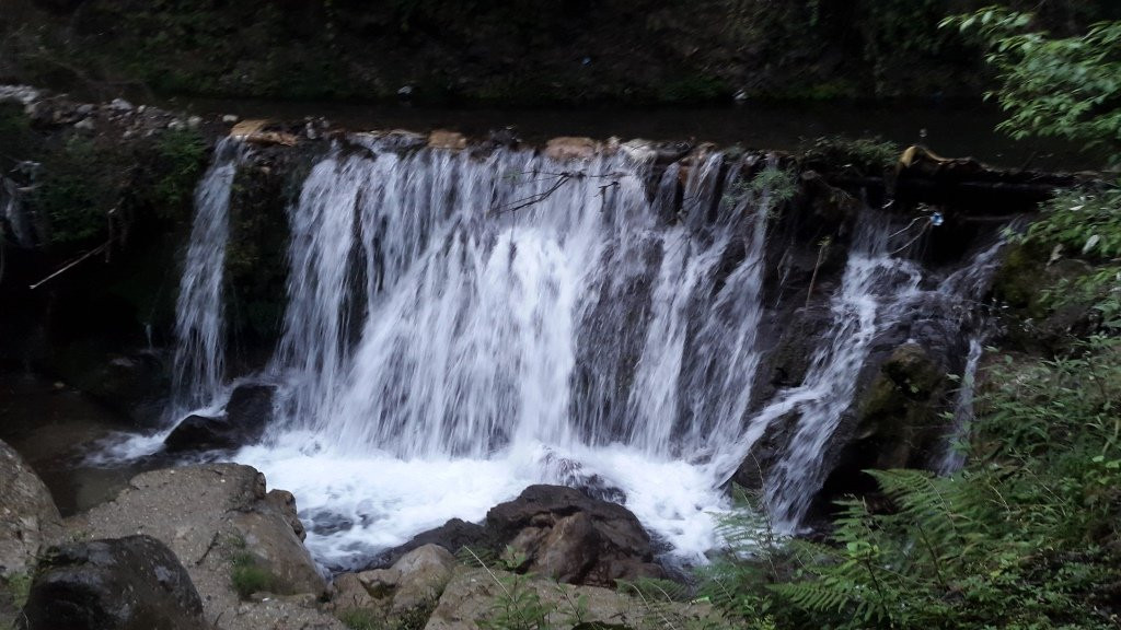 Lakemist Resort主图