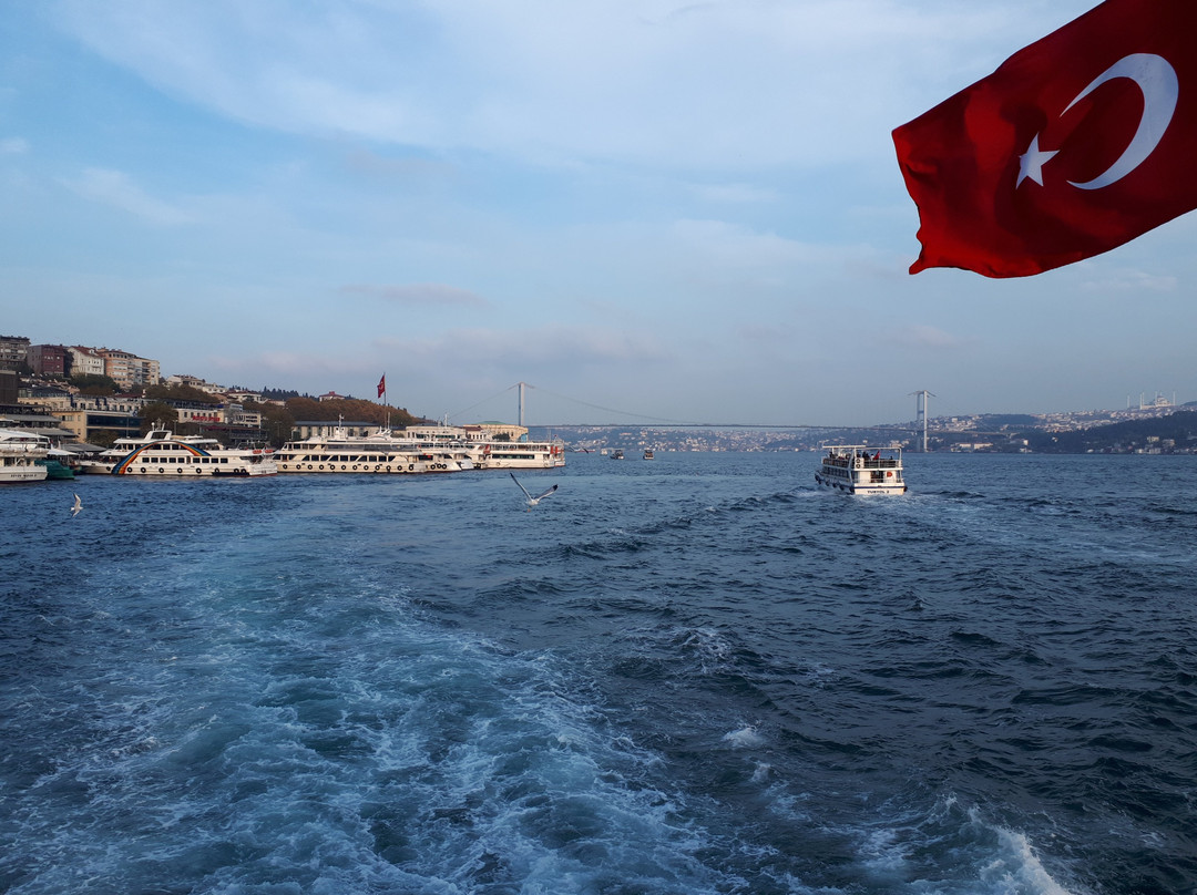 Hop in Hop Off Boat Tour-伊斯坦布尔必去景点