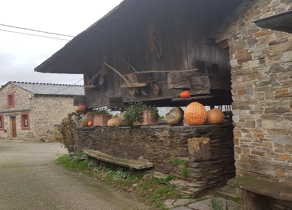 Casas Viduedo