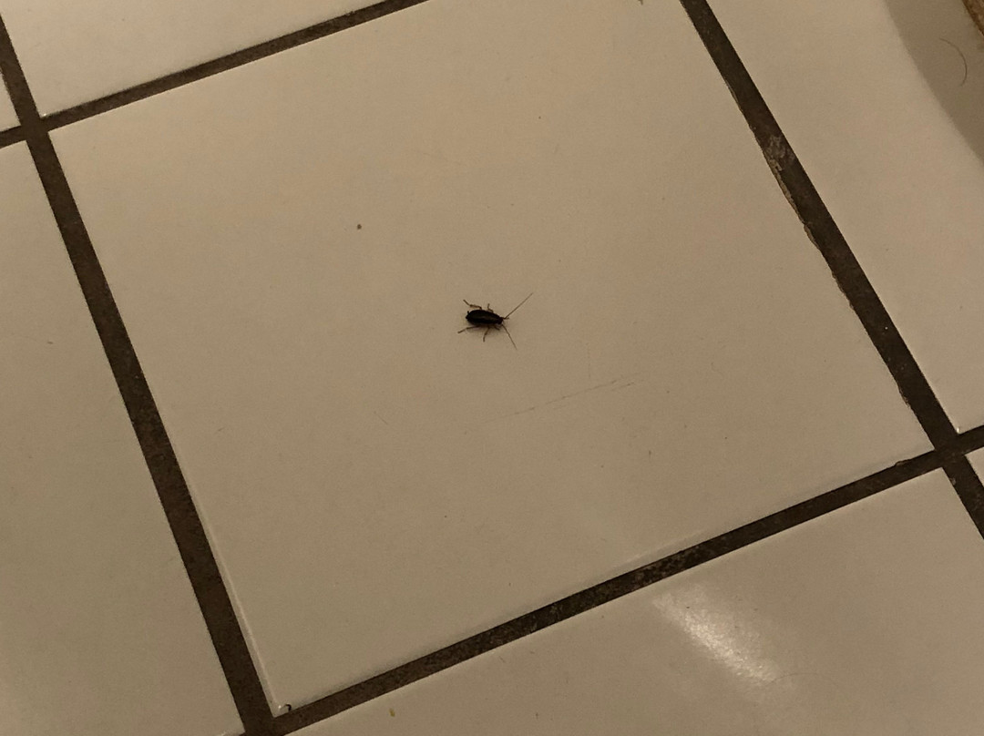 老巴德斯敦旅馆主图