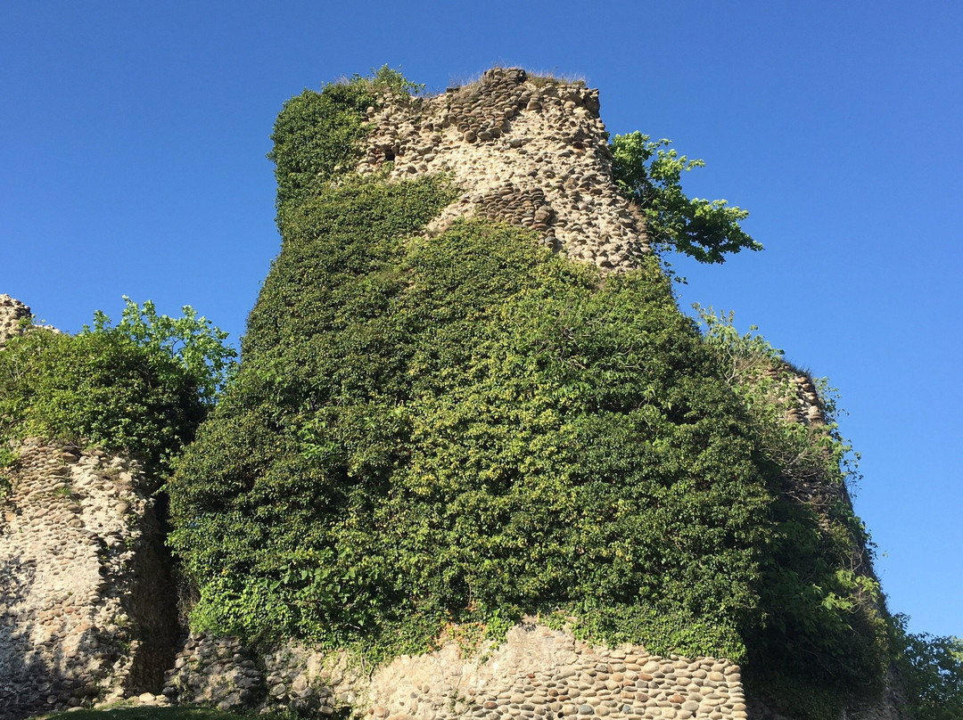 Zugdidi Botanical Garden-祖格迪迪必去景点