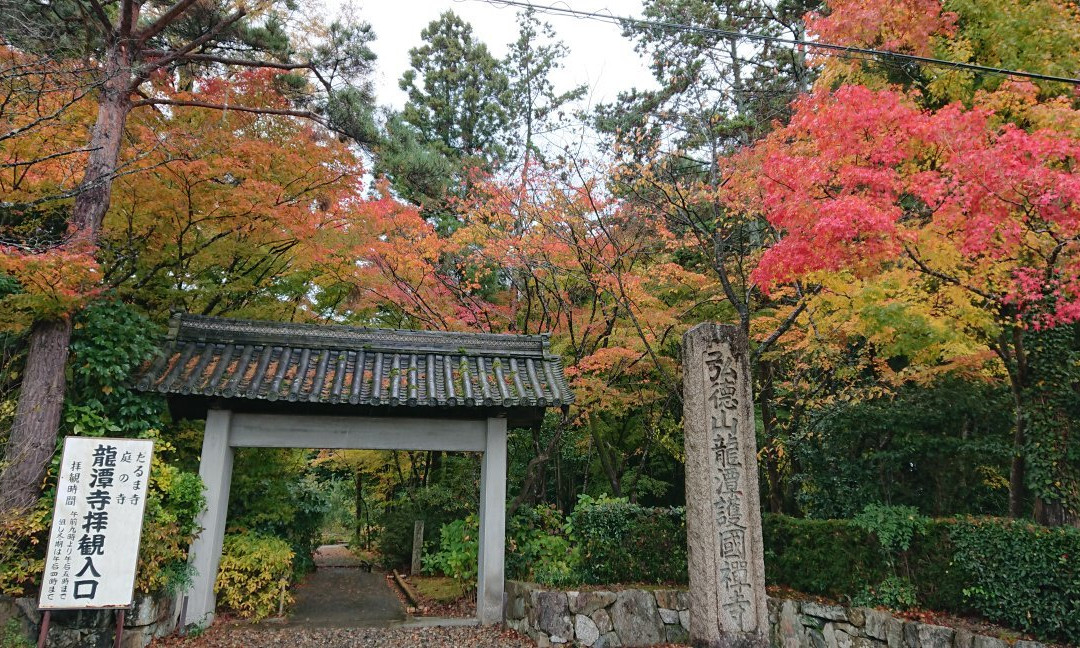 Ryotanji Temple-彦根市必去景点