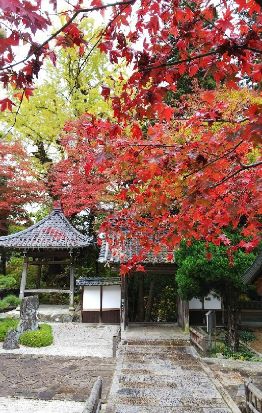 Choanji Temple-福知山市必去景点