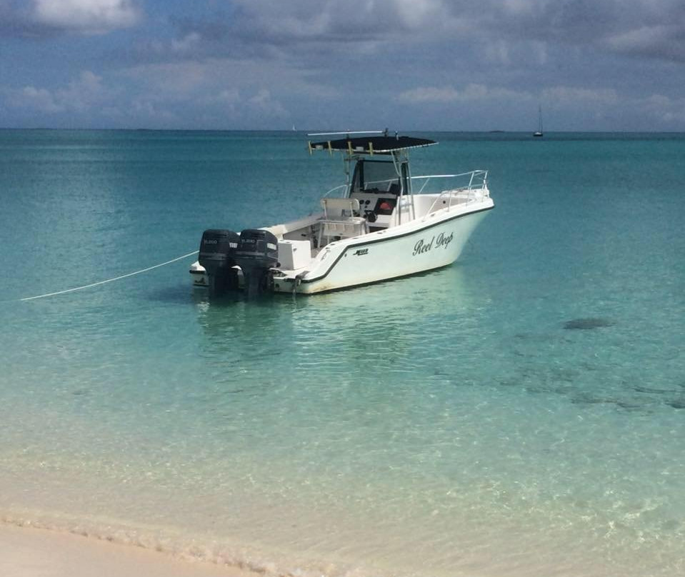 Blue Water Charters Abaco景点图片