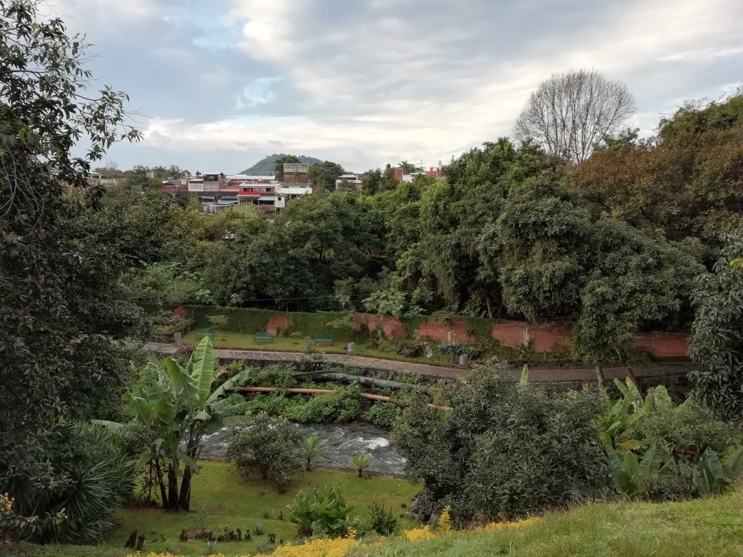 Hotel Los Cedros-官方