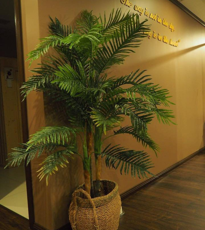 Thai Village Massage & Spa Baulkham Hills景点图片