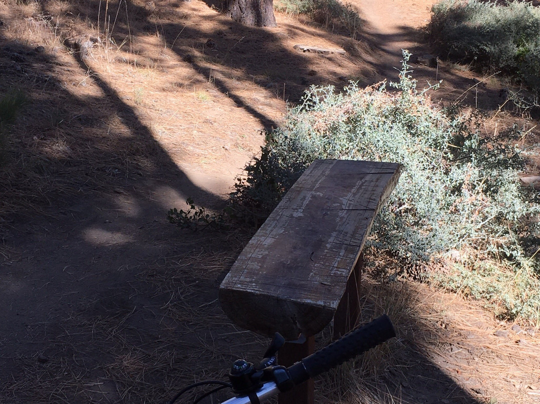 Skyline Trail-大熊湖必去景点