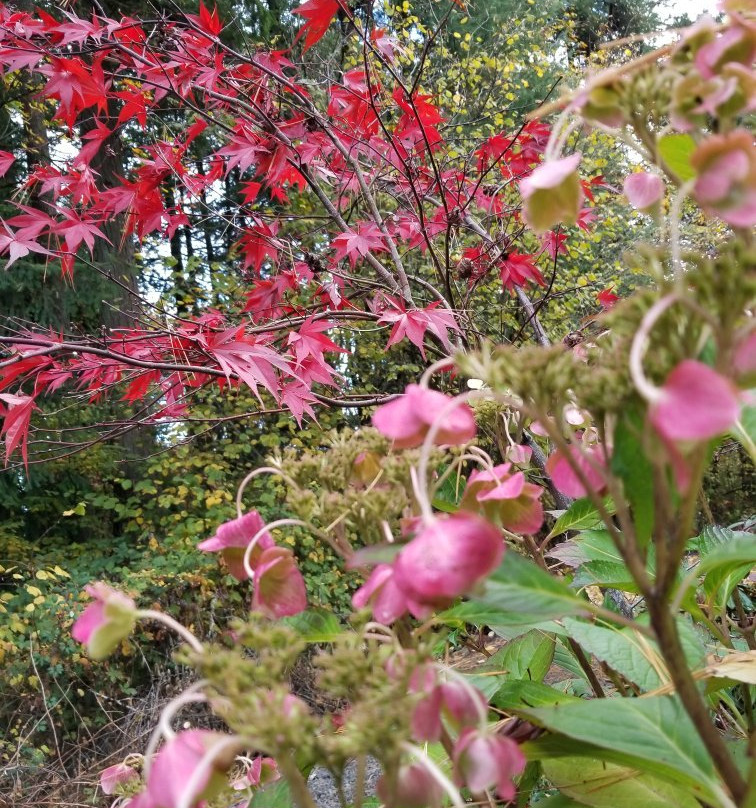 Jenkins Estate-比弗顿必去景点
