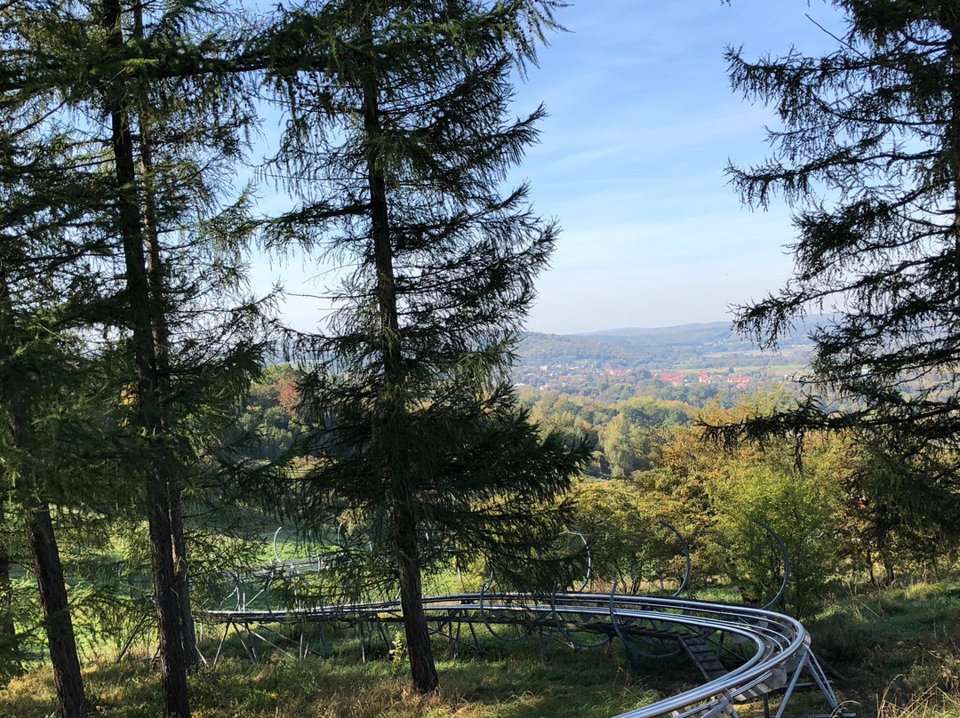 Dobromyl旅游景点-Tor Saneczkowy