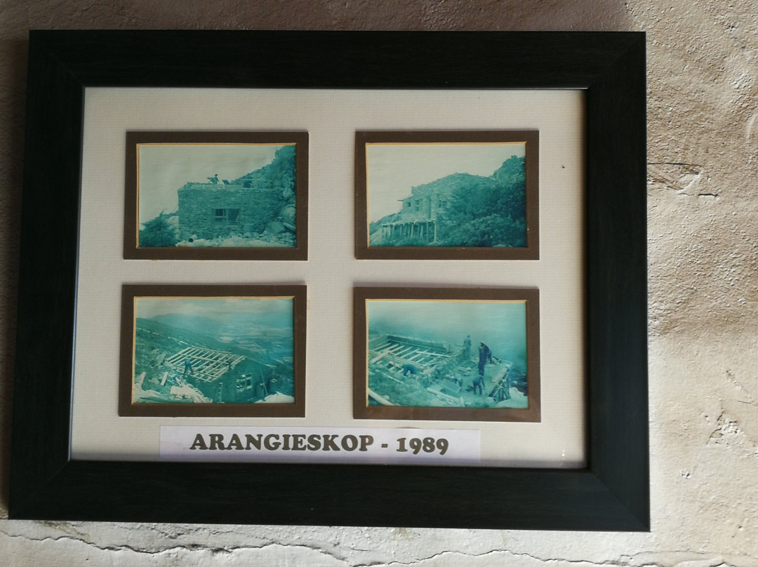 Protea Farm Tractor Trips-蒙提古必去景点