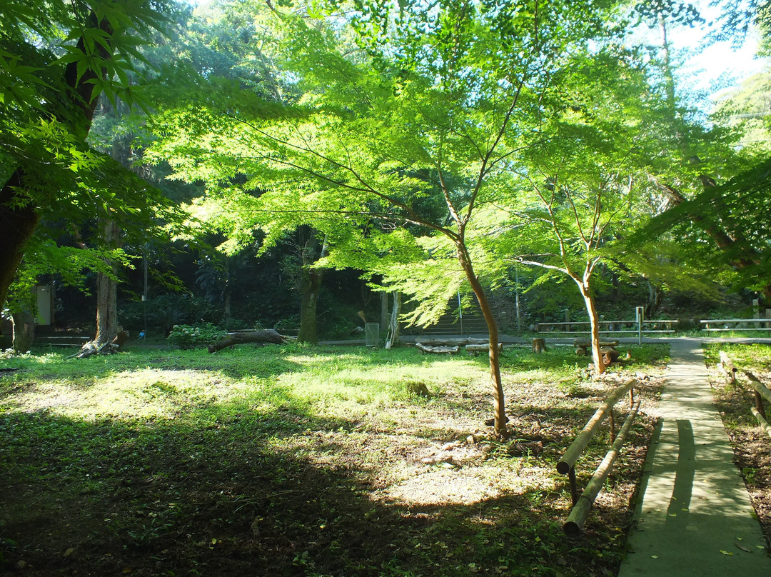 Tsumekiri Fudoson景点图片