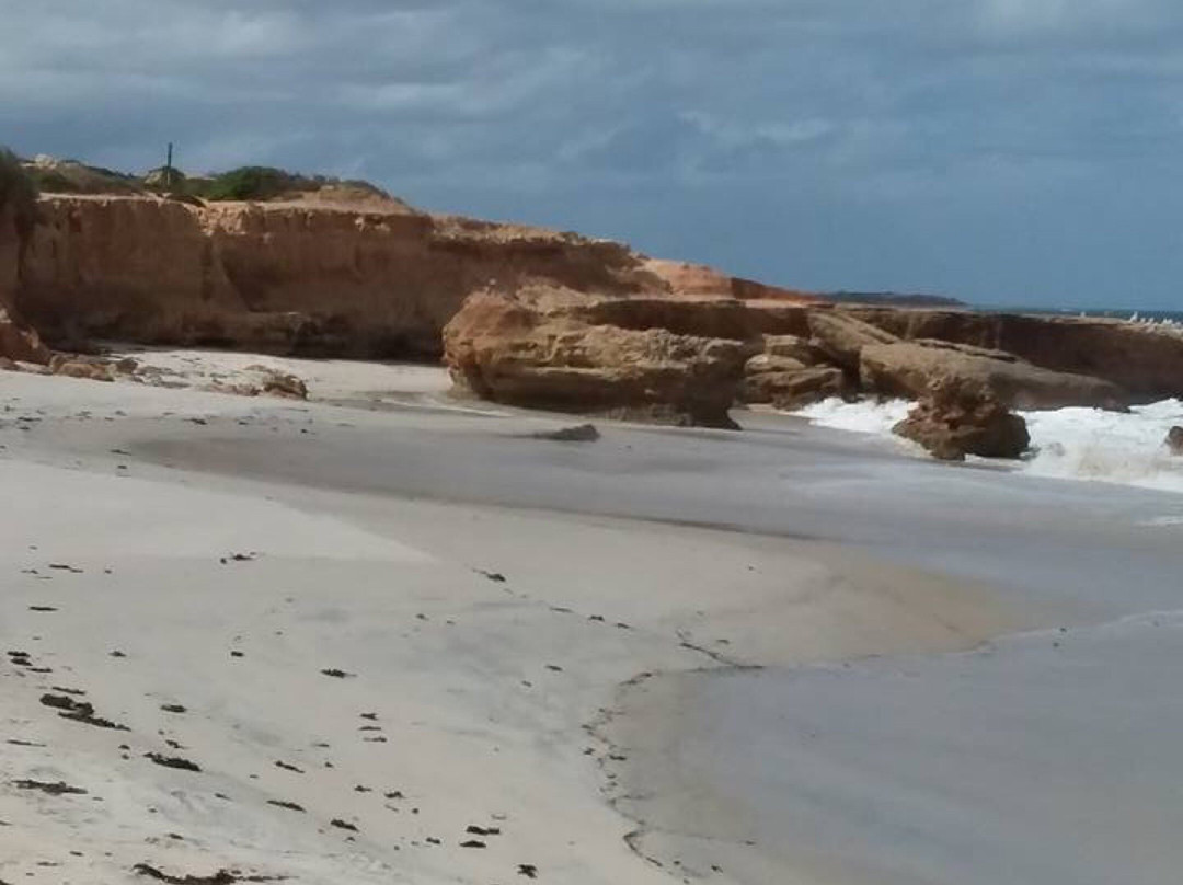 Redbanks Beach-Arno Bay必去景点
