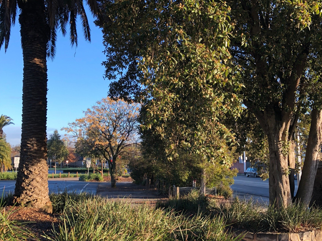 Camberwell Sportsground-坎伯维尔必去景点