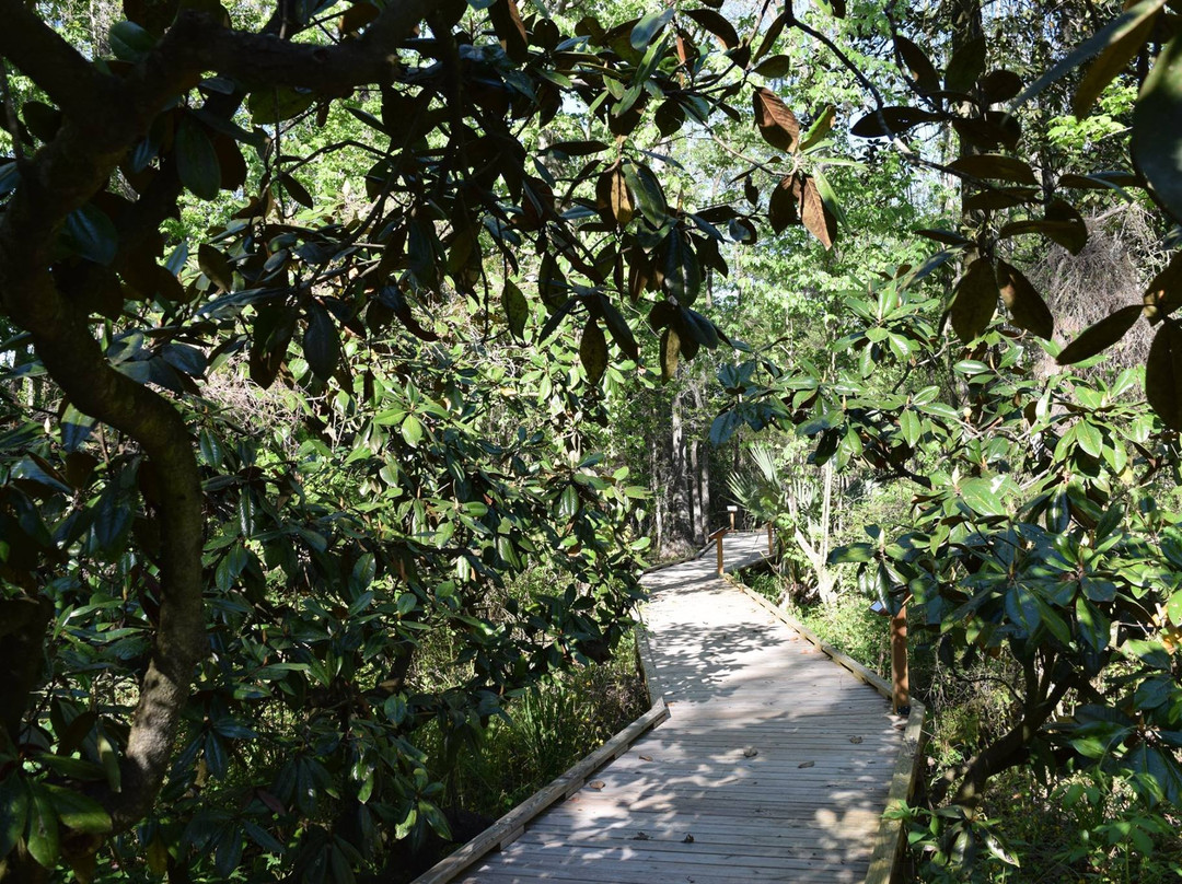 Burden Museum & Gardens-巴吞鲁日必去景点