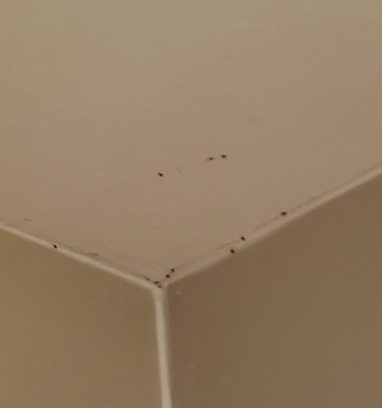 City Express By Marriott Saltillo Sur主图