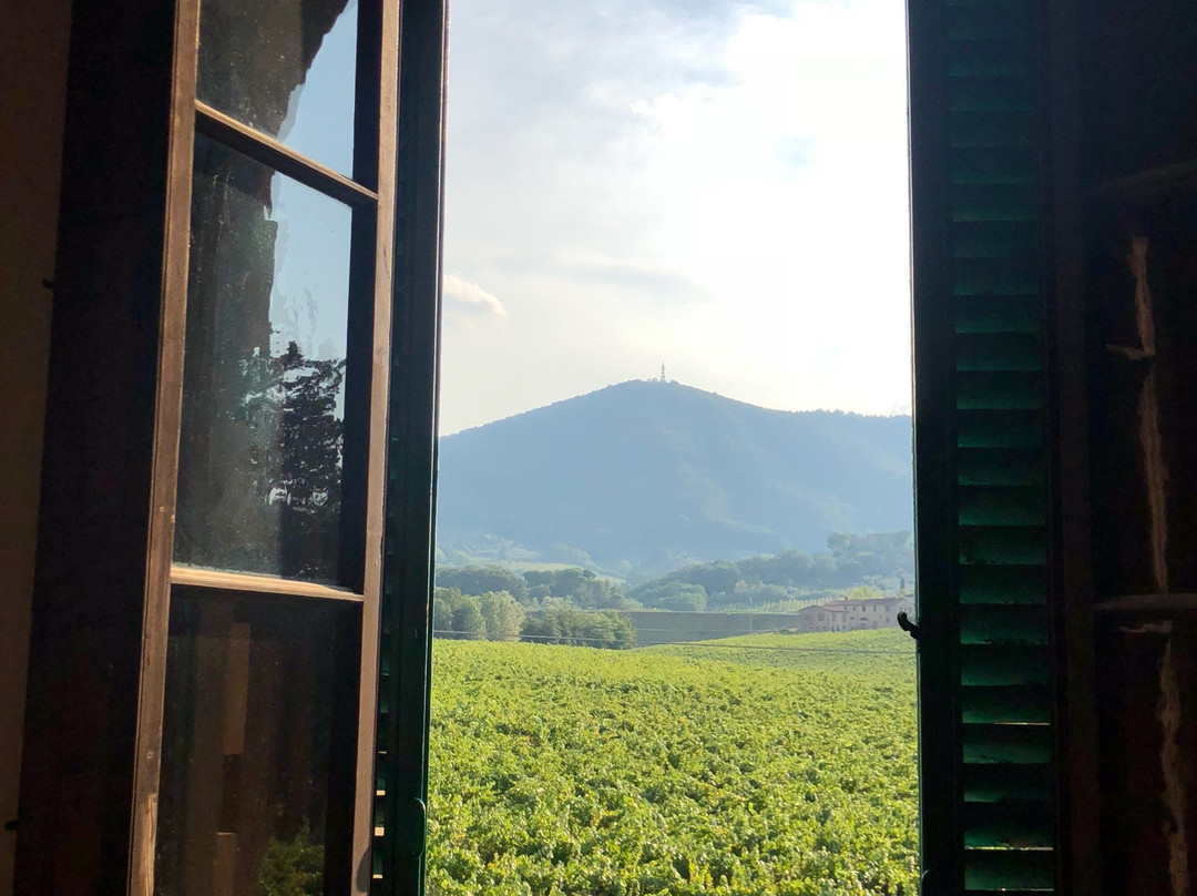 Fattoria Betti-夸拉塔必去景点