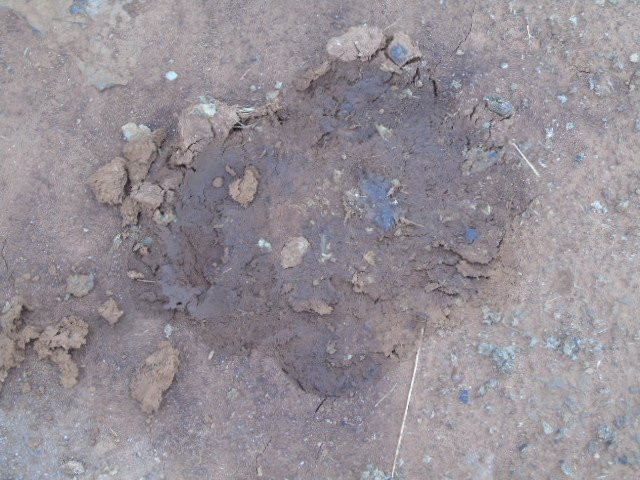 Silole Sanctuary-内罗毕必去景点