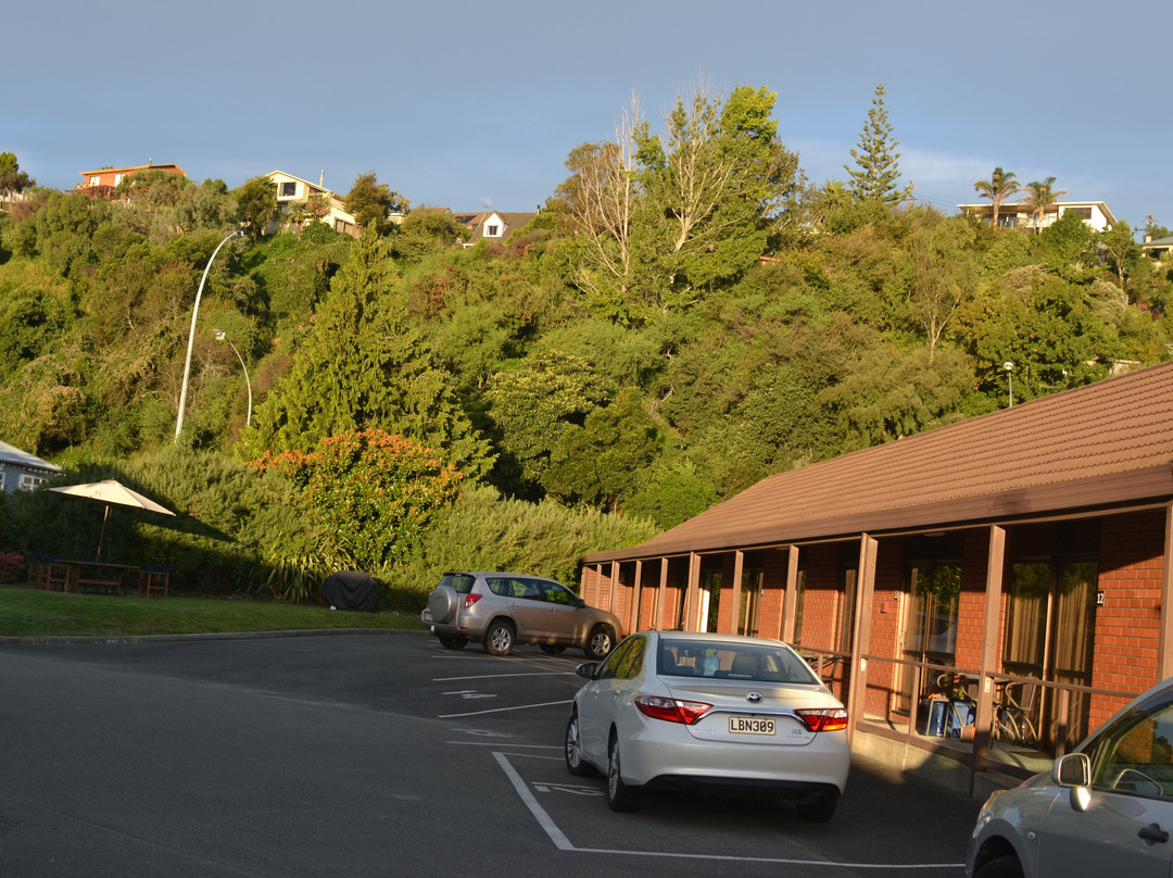 尼尔森琥珀庭院汽车旅馆主图