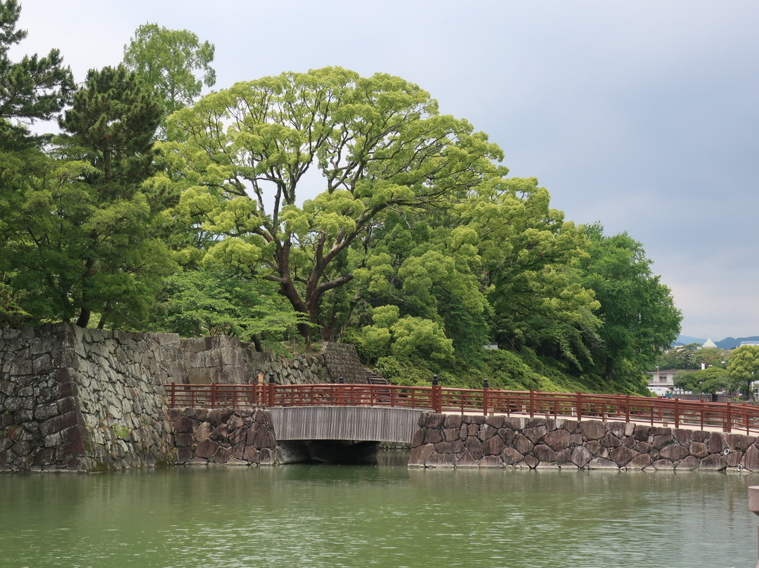 Sumpu Castle Park景点图片