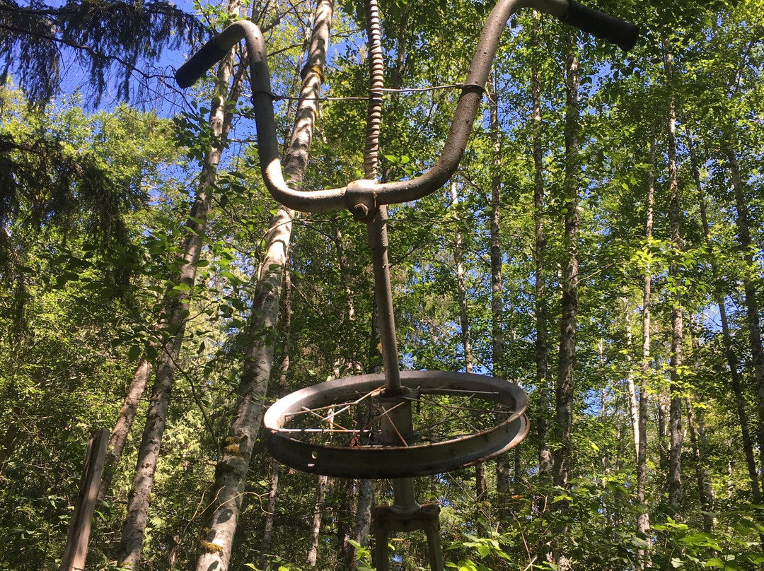 Wacky woods-Fanny Bay必去景点