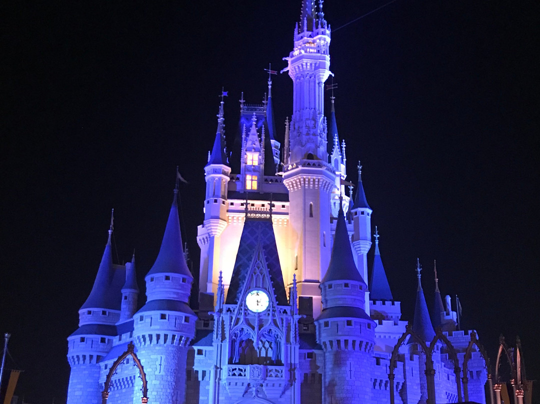 华特迪士尼世界-奥兰多必去景点