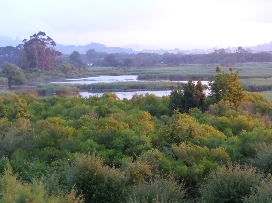 El molino de las aves景点图片