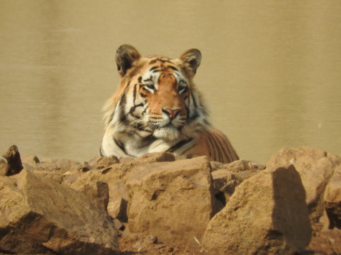 Infinite Expeditions Pvt. Ltd.