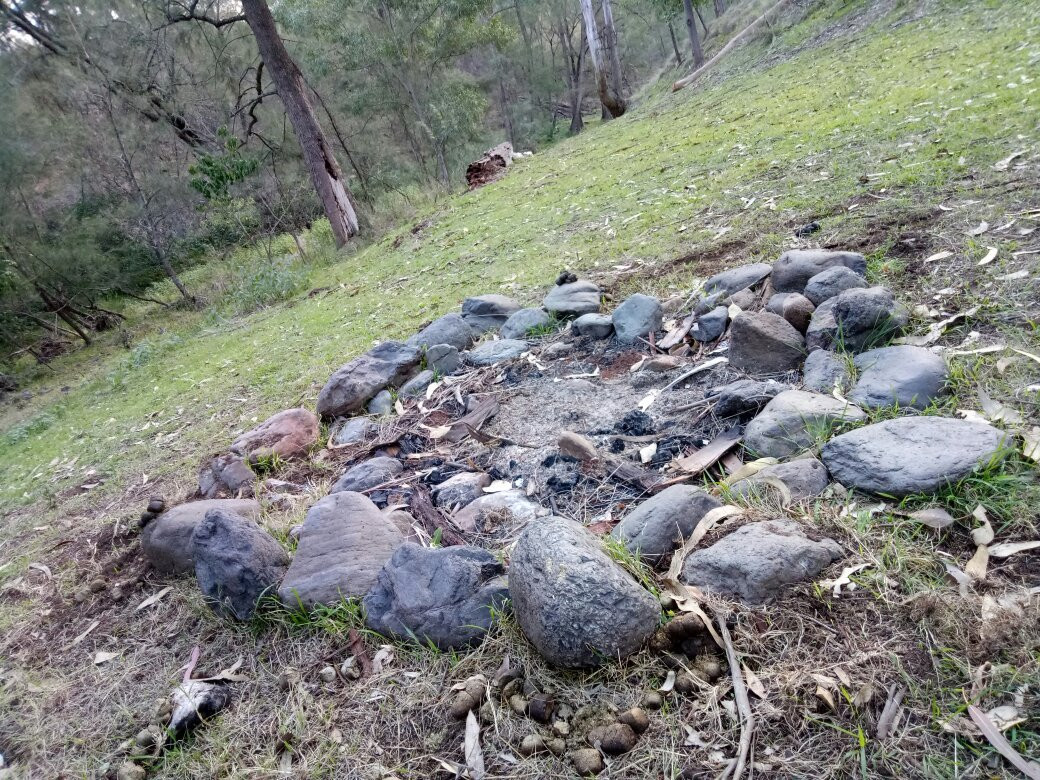 Towarri National Park-Middle Brook必去景点