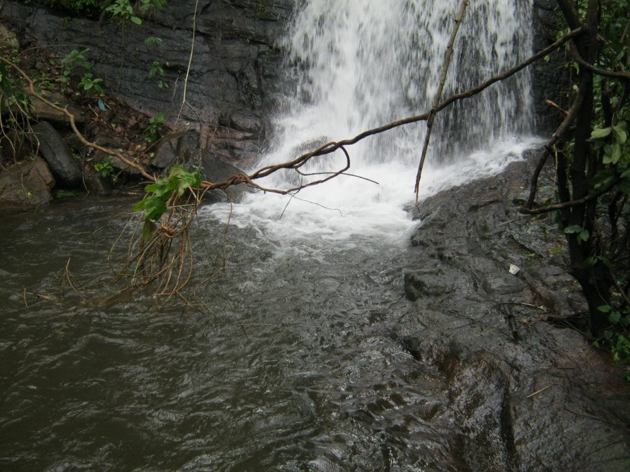 Pattathipara Waterfall景点图片