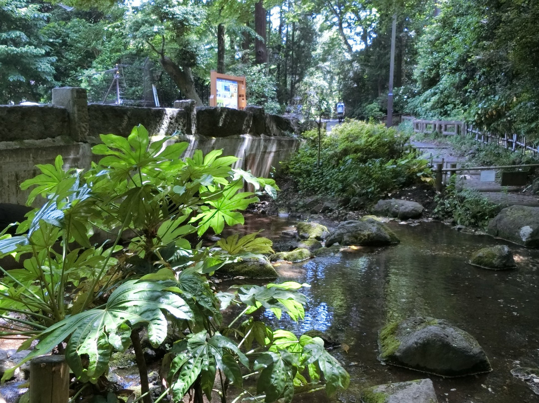 Ochanomizu Pond-三鹰市必去景点
