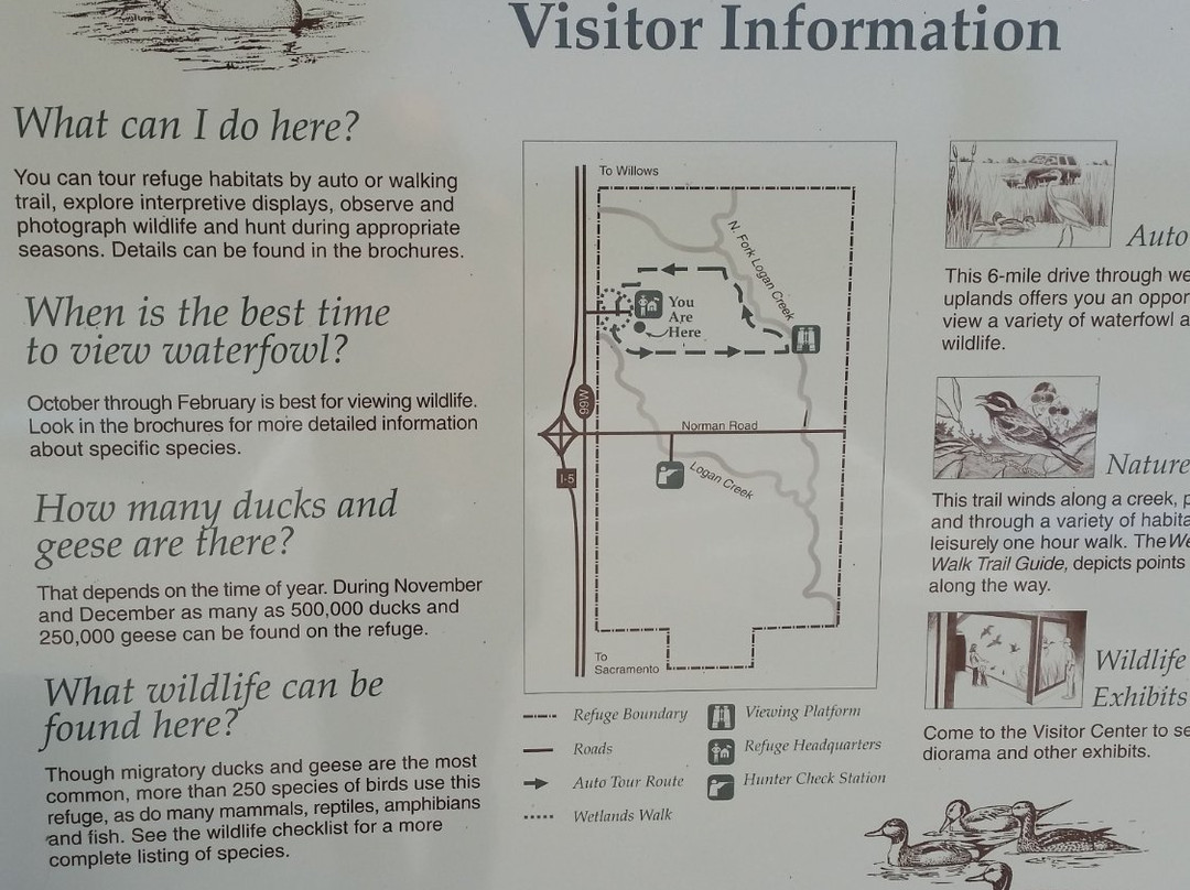 Sacramento National Wildlife Refuge-Willows必去景点