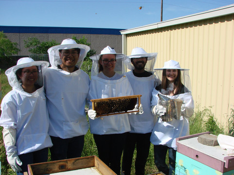 Nottingham Bees-大草原城必去景点
