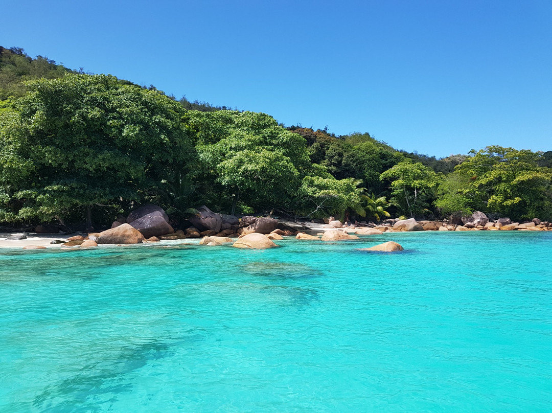 New Indigo Excursions Seychelles景点图片