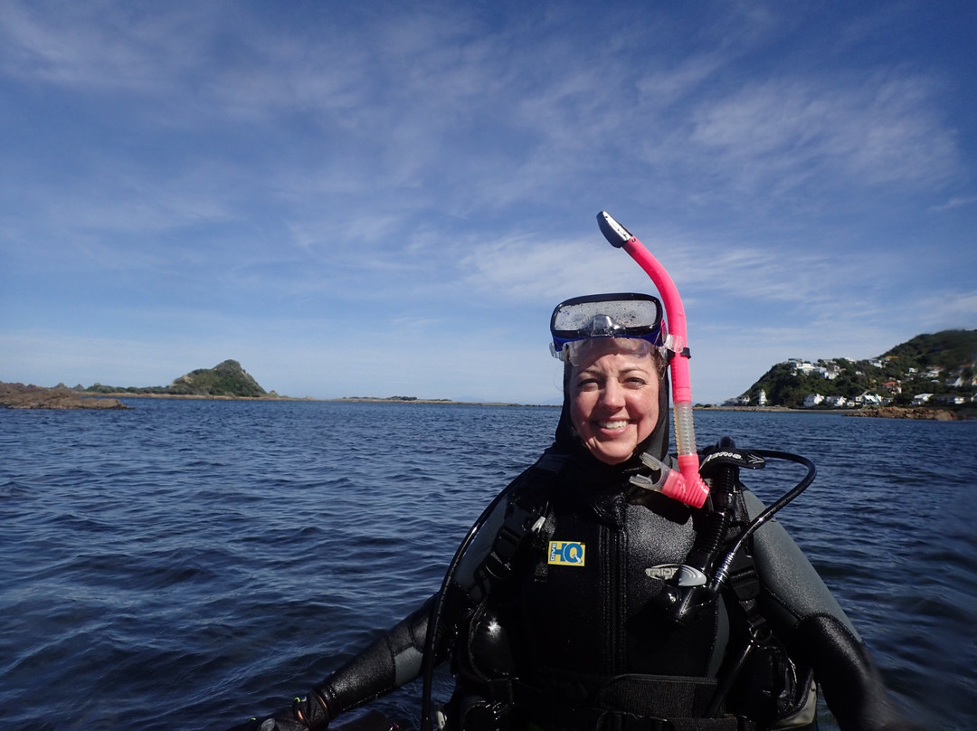 Dive HQ Wellington景点图片