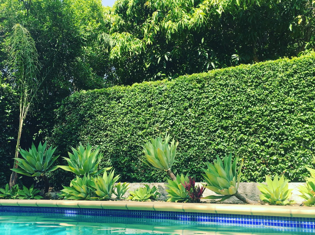 维斯之家住宿加早餐酒店主图