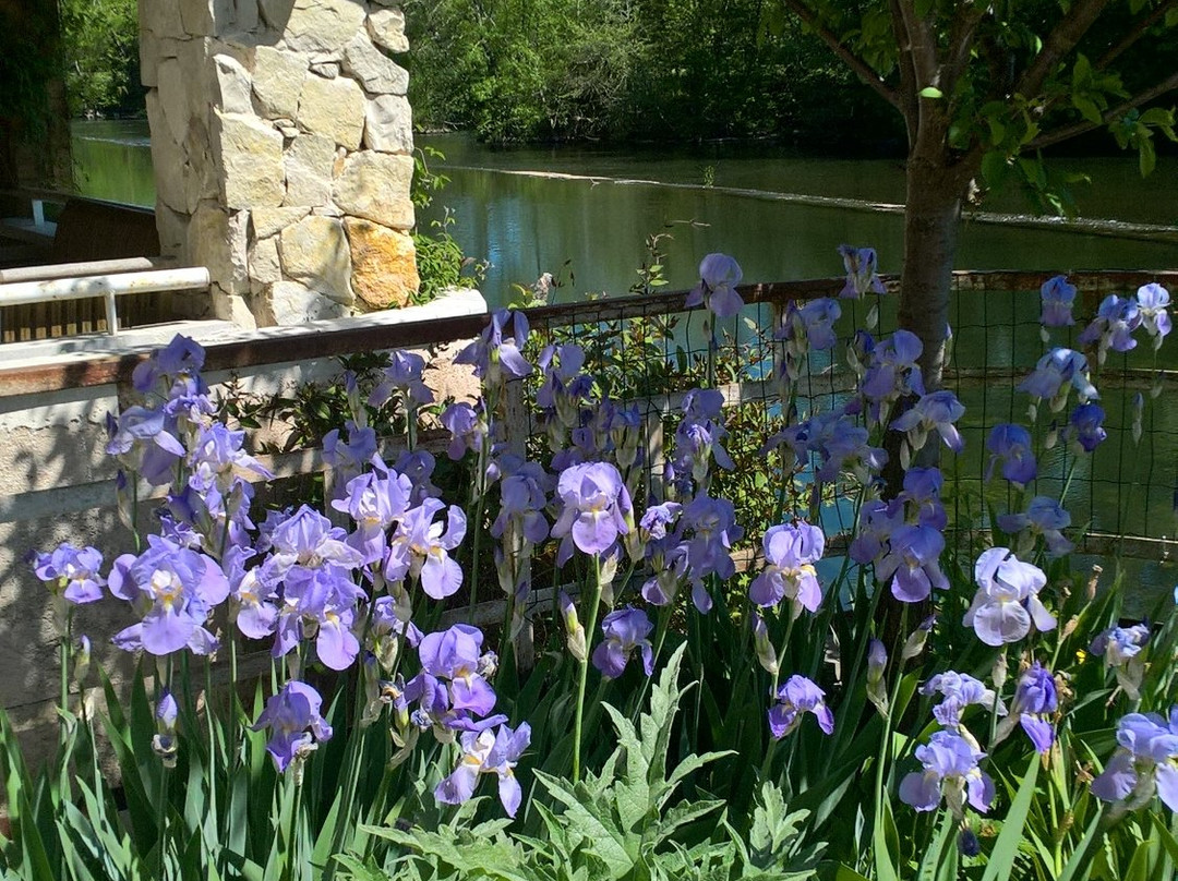 Les Rives de L'Isle主图