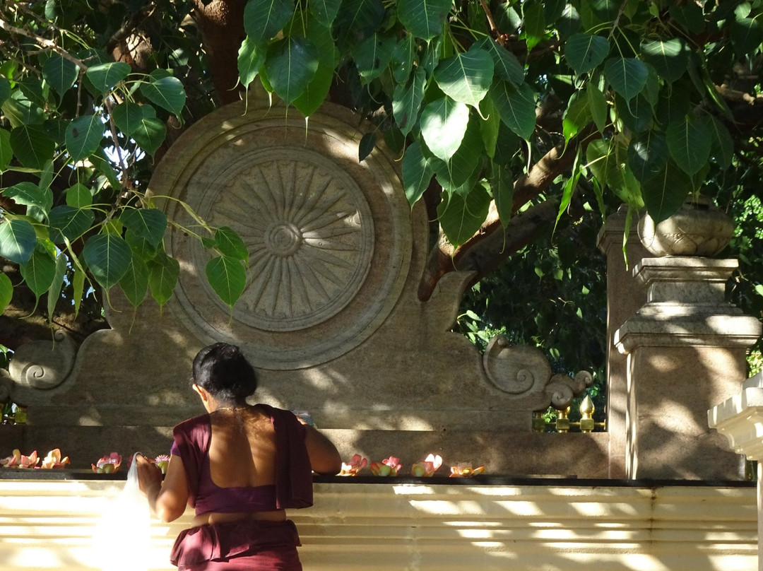 Mahamevnawa Buddhist Monastery Kundasale景点图片