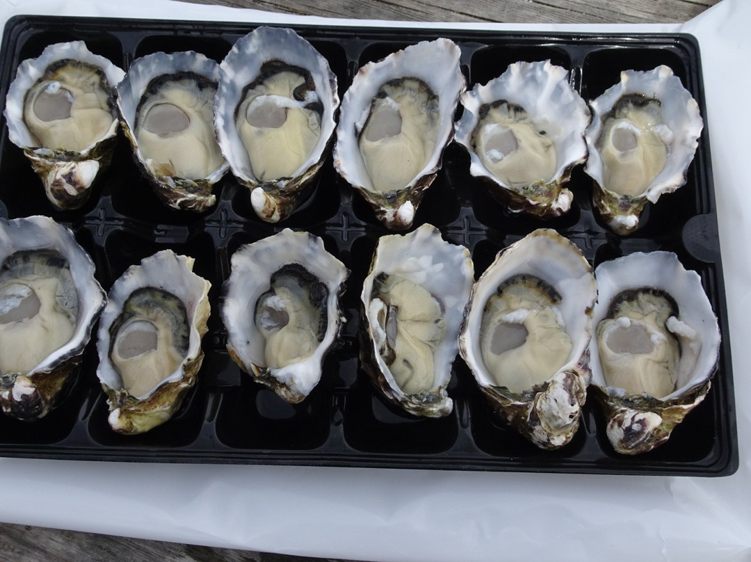 Joy's Tassie Tours-朗塞斯顿必去景点