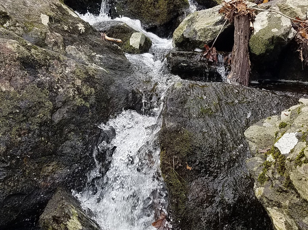 Cascading Waters-伍斯特必去景点