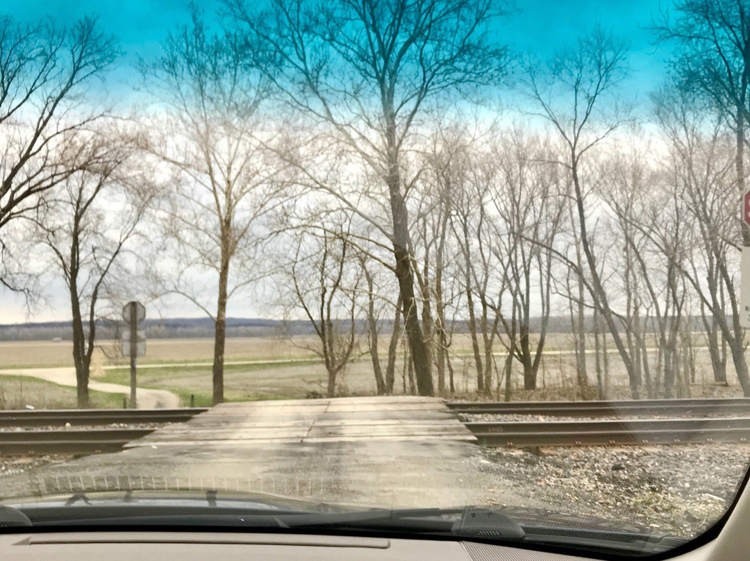 Bias Vineyards and Winery景点图片