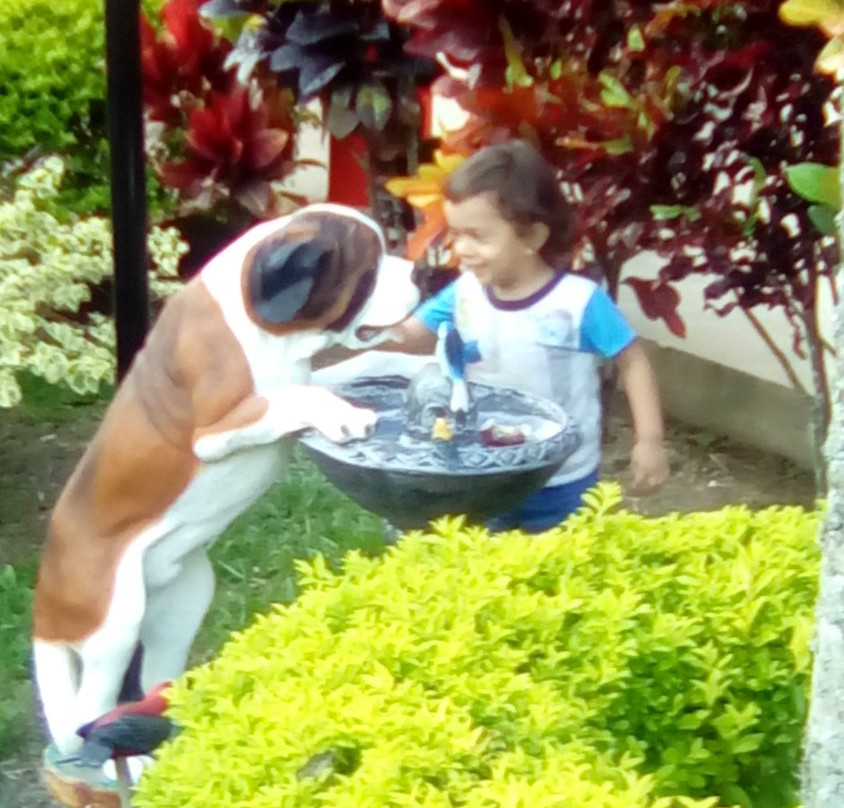 Hotel Balcones De La Pradera主图