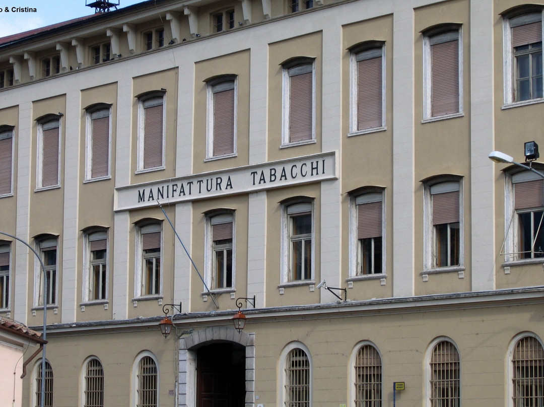 Palazzo della Manifattura di Rovereto景点图片