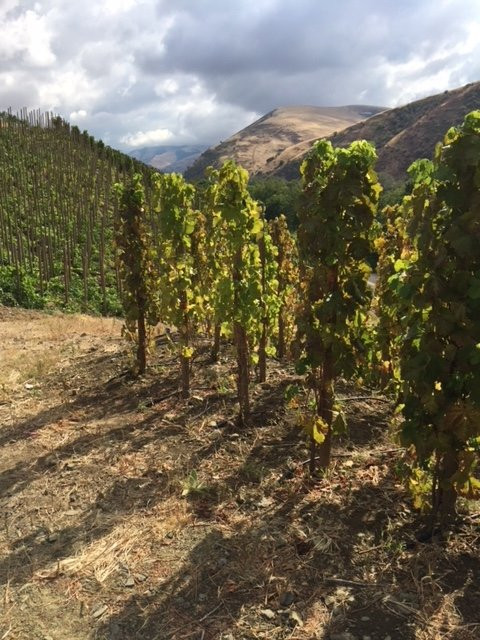 Tertulia Cellars Dundee-Dundee必去景点