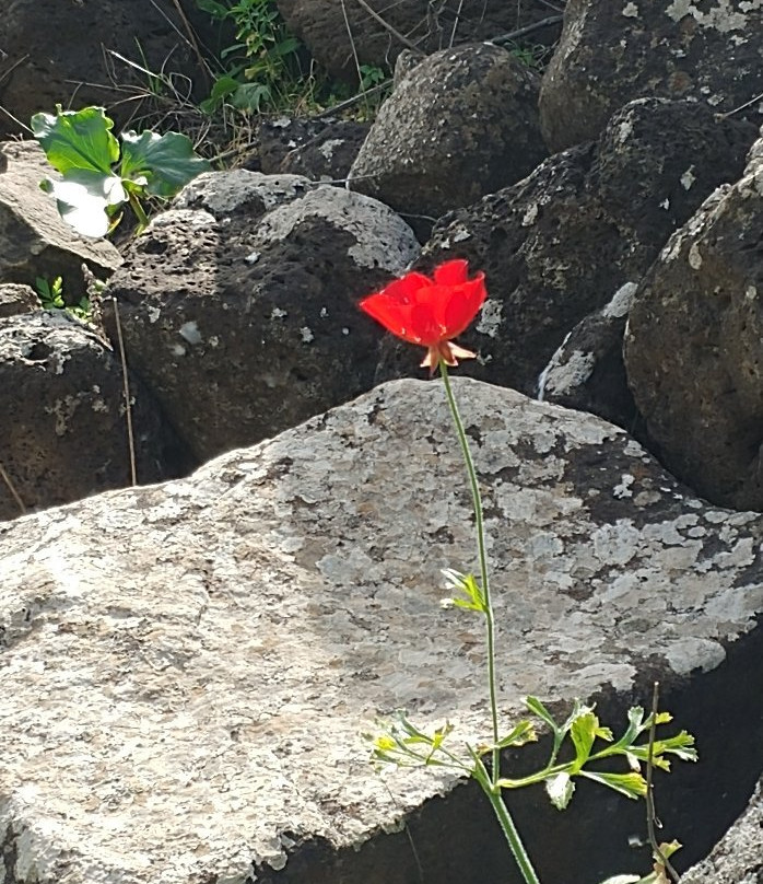 Birchat Meshushim-Merom Golan必去景点