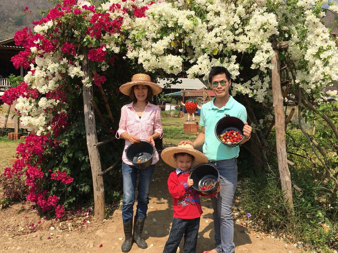 Wongwan Strawberry Farm-沙蒙必去景点