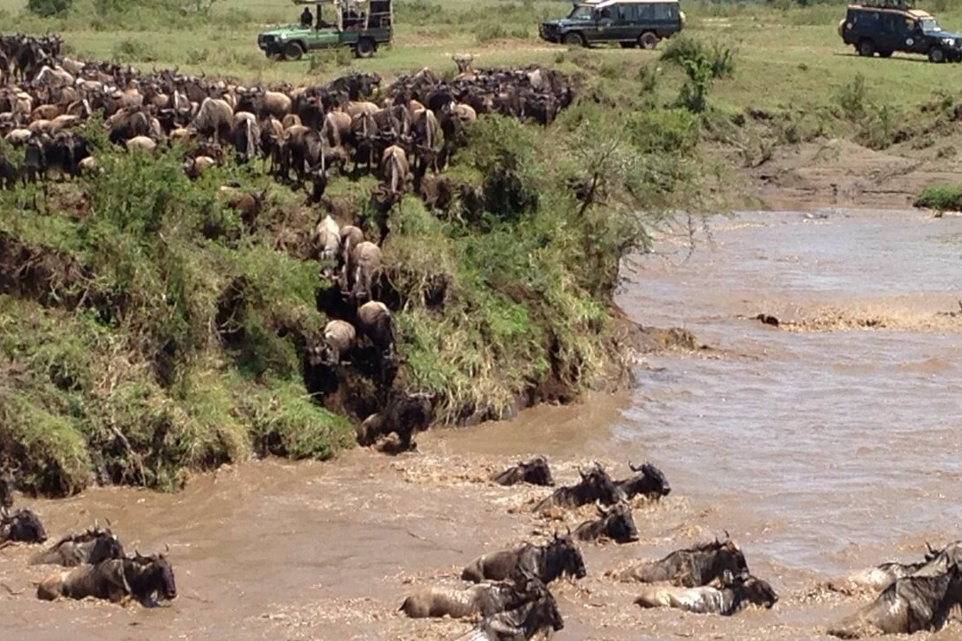 Hisia Safaris景点图片