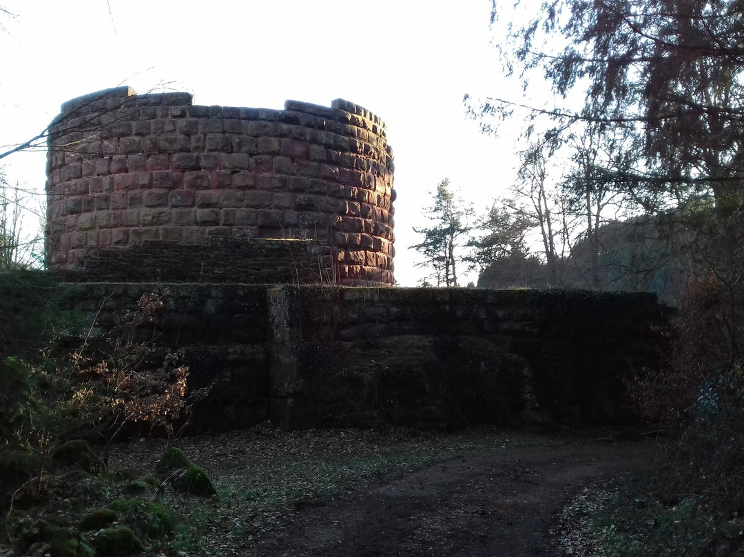 Steinenschloss Castle景点图片