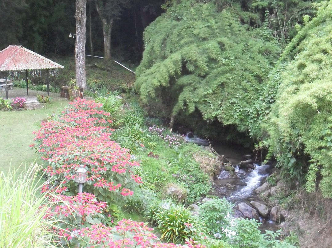 Las Orquideas Bed & Breakfast主图