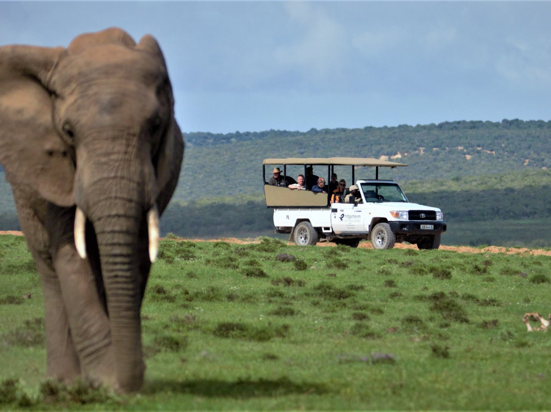 Hitgeheim Country Lodge主图