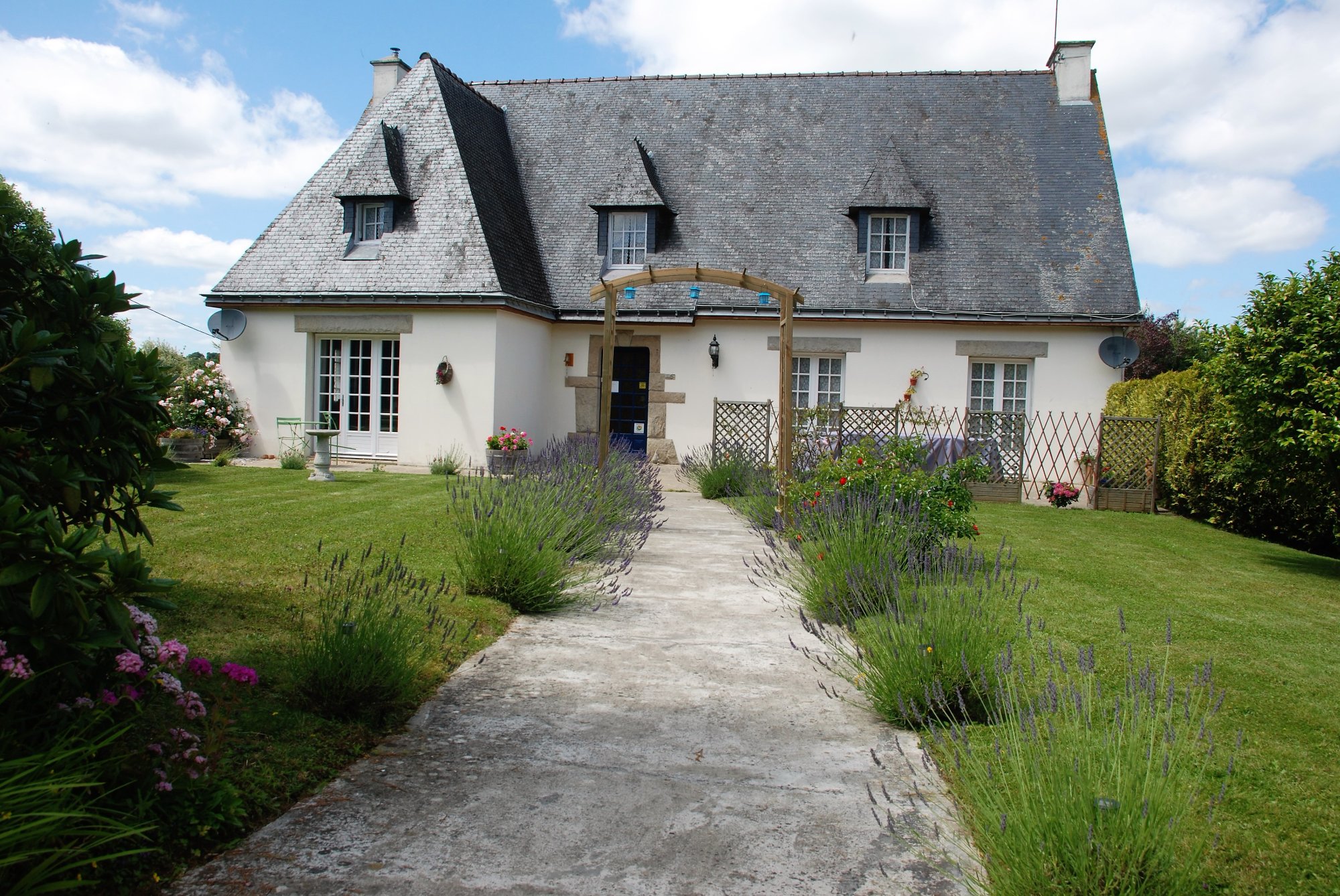 Maison Driscoll-官方